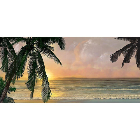 Sunset Cove Black Modern Wood Framed Art Print by Calascibetta, Mike