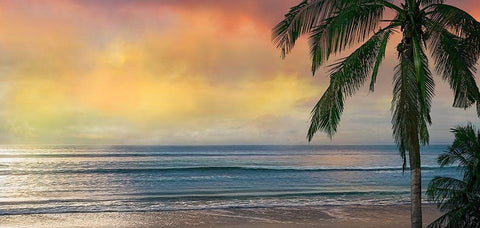 Sunset Cove Black Ornate Wood Framed Art Print with Double Matting by Calascibetta, Mike