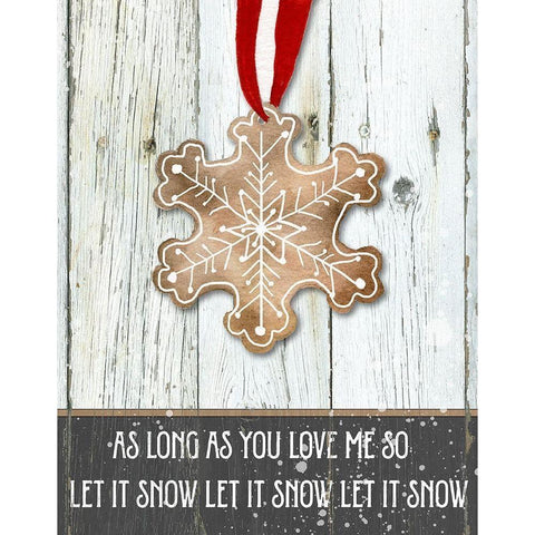 Gingerbread Snowflake Black Modern Wood Framed Art Print with Double Matting by Robinson, Carol