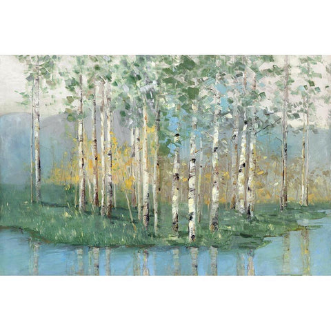 Birch Reflections Revisited Black Modern Wood Framed Art Print with Double Matting by Swatland, Sally
