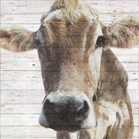 Maude White Modern Wood Framed Art Print by Santiago, Daniela