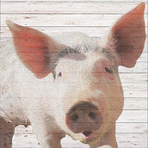 Wilbur Black Modern Wood Framed Art Print by Santiago, Daniela