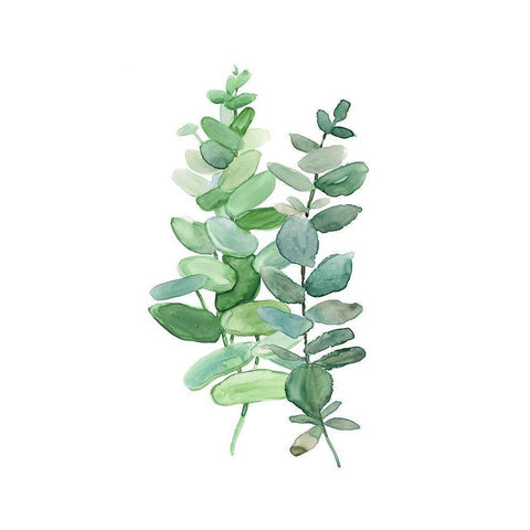 Eucalyptus II Black Modern Wood Framed Art Print with Double Matting by Robinson, Carol