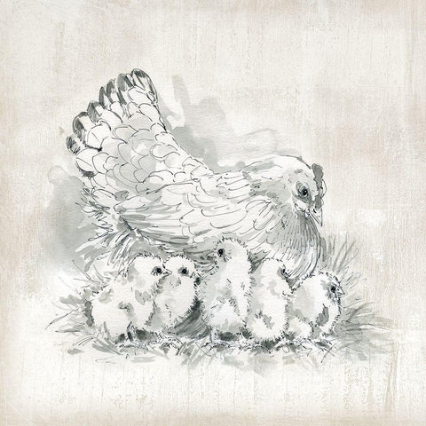 Hen and Chicks White Modern Wood Framed Art Print by Robinson, Carol