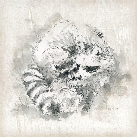 Raccoon Momma and Baby Black Modern Wood Framed Art Print with Double Matting by Robinson, Carol