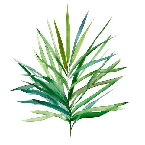 Palm Frond I White Modern Wood Framed Art Print with Double Matting by Robinson, Carol