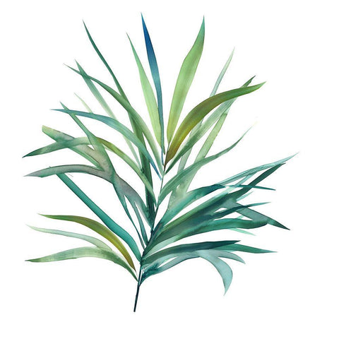 Palm Frond III White Modern Wood Framed Art Print with Double Matting by Robinson, Carol