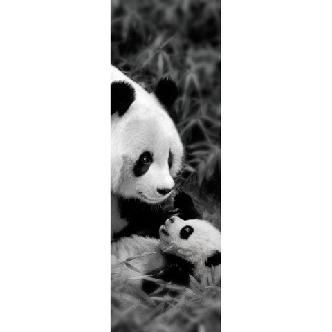 Panda Play Black Modern Wood Framed Art Print by Su, Keren