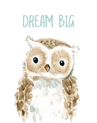 Dream Big Owl Black Ornate Wood Framed Art Print with Double Matting by Robinson, Carol