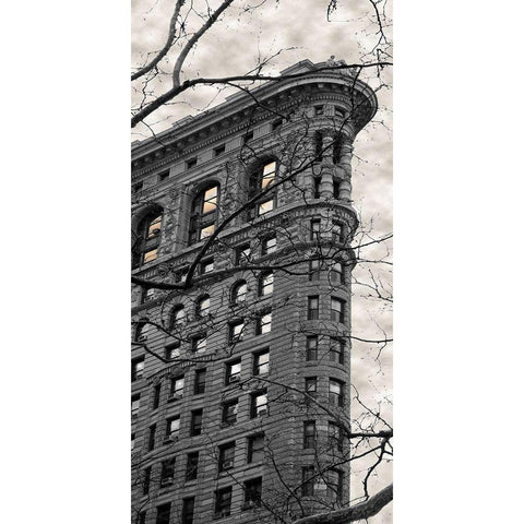 Flatiron Building Gold Ornate Wood Framed Art Print with Double Matting by Jill, Susan