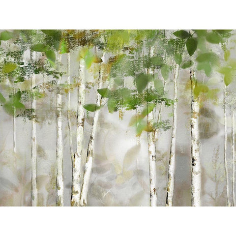 Evergreen Forest White Modern Wood Framed Art Print by Nan