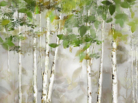 Evergreen Forest White Modern Wood Framed Art Print with Double Matting by Nan