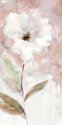 Summer Bloom I Black Ornate Wood Framed Art Print with Double Matting by Robinson, Carol