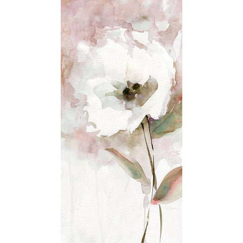 Summer Bloom II Black Modern Wood Framed Art Print with Double Matting by Robinson, Carol