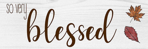 So Very Blessed White Modern Wood Framed Art Print with Double Matting by CAD Designs