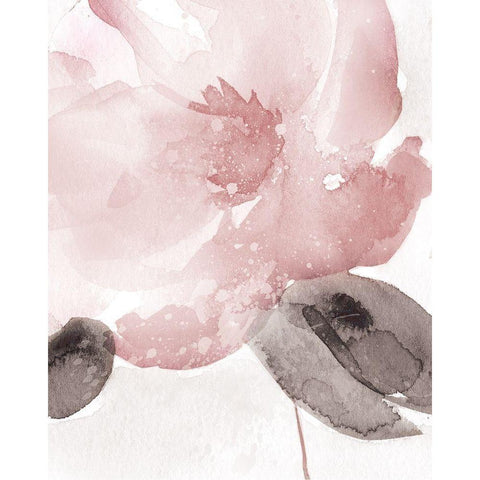 Blush Bloom I Black Modern Wood Framed Art Print with Double Matting by Robinson, Carol