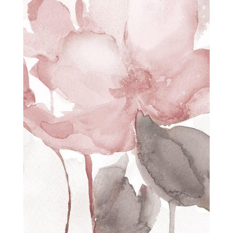 Blush Bloom II Black Modern Wood Framed Art Print with Double Matting by Robinson, Carol