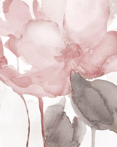 Blush Bloom II Black Ornate Wood Framed Art Print with Double Matting by Robinson, Carol