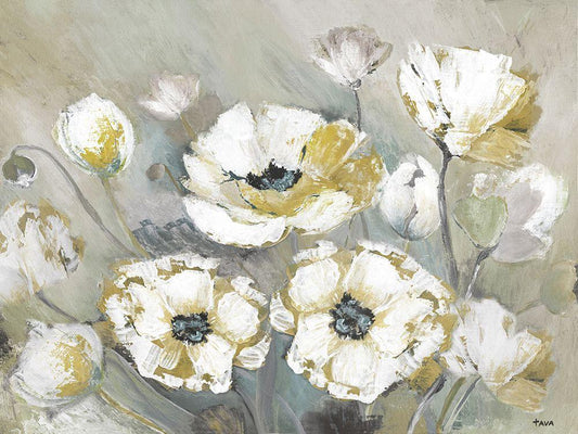 Image Only
