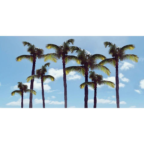 Paradise Palms White Modern Wood Framed Art Print by Carpentieri, Natalie