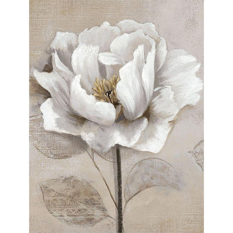 Soft White II White Modern Wood Framed Art Print by Nan