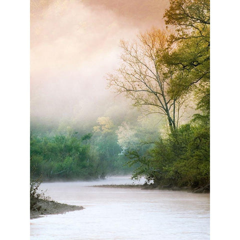 Beguiled Black Modern Wood Framed Art Print by Klass, Raymond