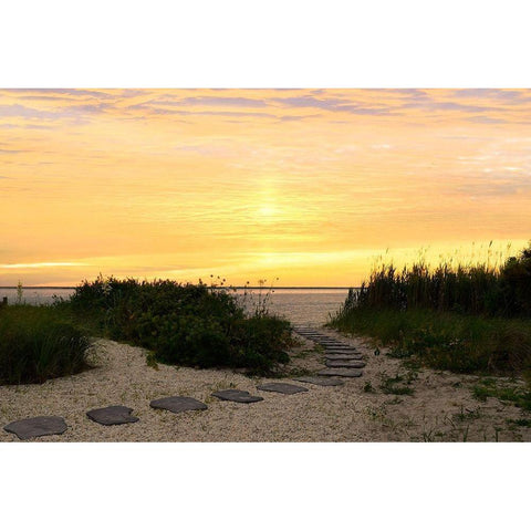 Sunset Path White Modern Wood Framed Art Print by Carpentieri, Natalie