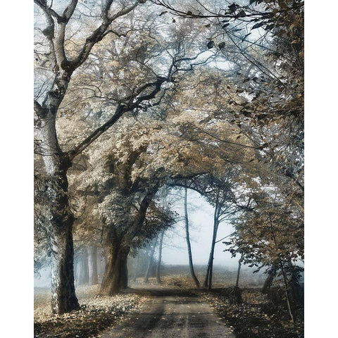 Road to Tomorrow Gold Ornate Wood Framed Art Print with Double Matting by Van de Goor, Lars