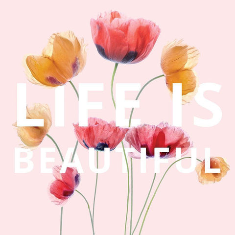 Life is Beautiful Black Modern Wood Framed Art Print with Double Matting by Disher, Mandy