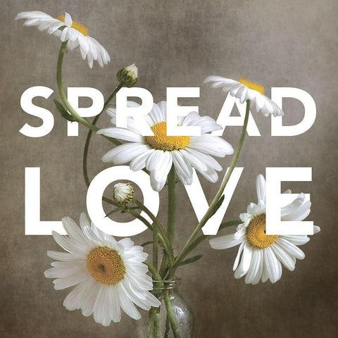 Spread Love Black Modern Wood Framed Art Print by Disher, Mandy