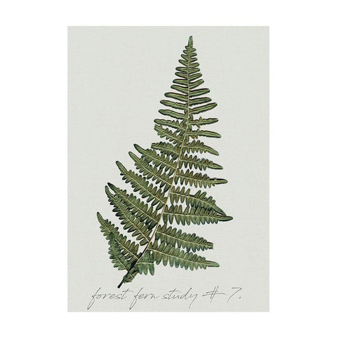 Fern Studies II Black Modern Wood Framed Art Print with Double Matting by Robinson, Carol