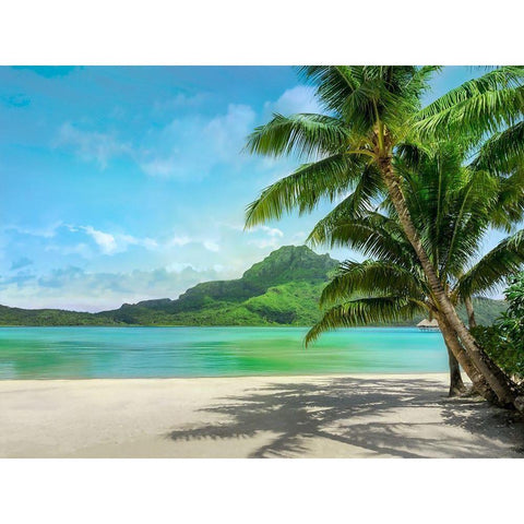 Getting There White Modern Wood Framed Art Print by Calascibetta, Mike