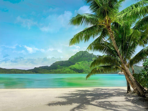 Getting There Black Ornate Wood Framed Art Print with Double Matting by Calascibetta, Mike