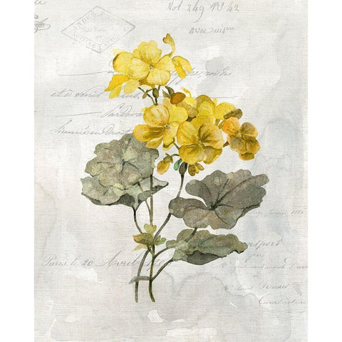 Canary Linen Geranium Black Modern Wood Framed Art Print with Double Matting by Robinson, Carol