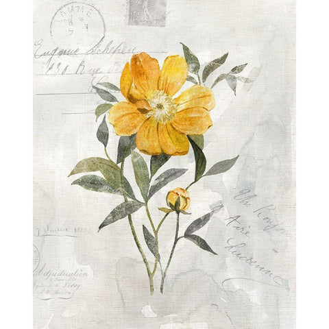 Canary Linen Peony Gold Ornate Wood Framed Art Print with Double Matting by Robinson, Carol