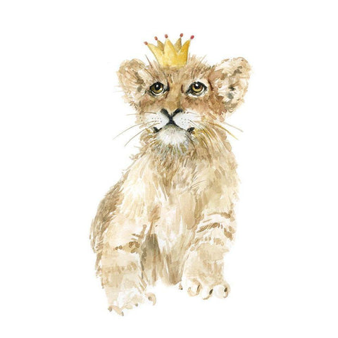 Savannah Lion Cub Black Modern Wood Framed Art Print with Double Matting by Robinson, Carol