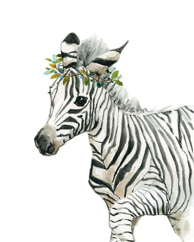 Savannah Zebra White Modern Wood Framed Art Print with Double Matting by Robinson, Carol
