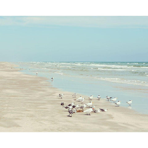 Padre Island Shore Birds Gold Ornate Wood Framed Art Print with Double Matting by DeFreitas, Michael