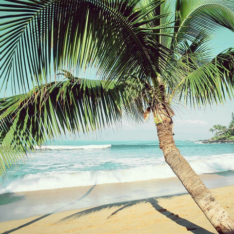 Napii Beach White Modern Wood Framed Art Print by Peebles, Douglas