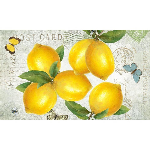 Postcard Lemons Black Modern Wood Framed Art Print with Double Matting by Donovan, Kelly