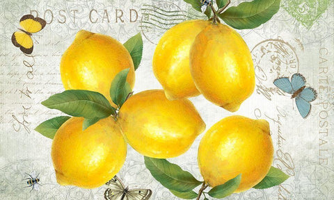 Postcard Lemons White Modern Wood Framed Art Print with Double Matting by Donovan, Kelly