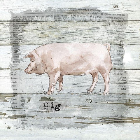 Farmhouse Collage Pig White Modern Wood Framed Art Print with Double Matting by Robinson, Carol