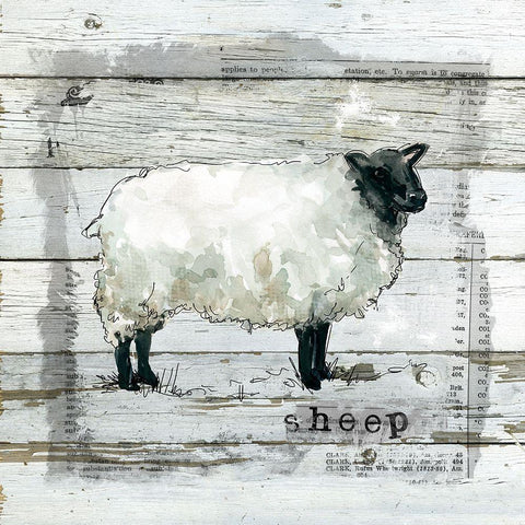 Farmhouse Collage Sheep White Modern Wood Framed Art Print by Robinson, Carol