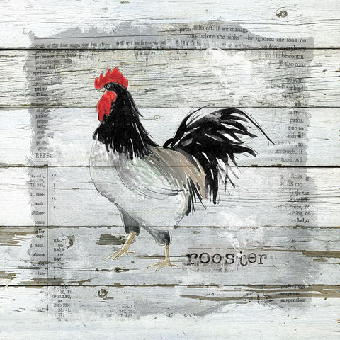 Farmhouse Collage Rooster Black Modern Wood Framed Art Print with Double Matting by Robinson, Carol