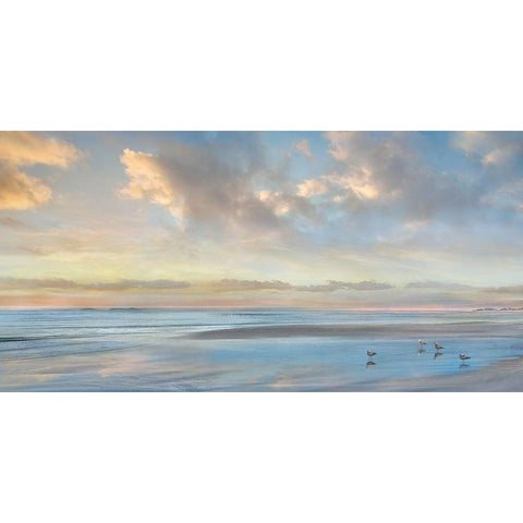 Perfect View Malibu Black Modern Wood Framed Art Print with Double Matting by Calascibetta, Mike