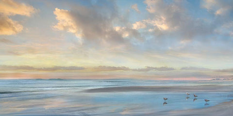 Perfect View Malibu Black Ornate Wood Framed Art Print with Double Matting by Calascibetta, Mike