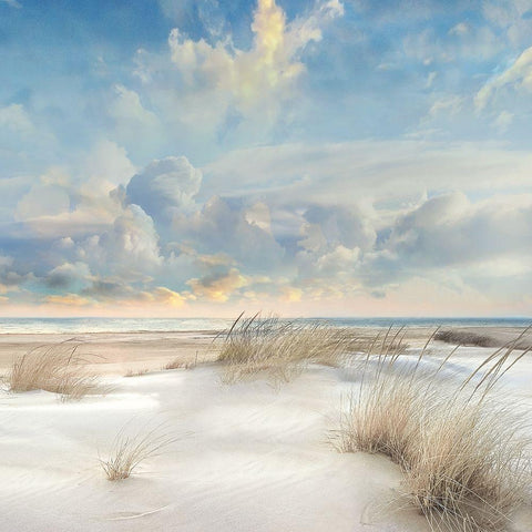 Smooth Sands III White Modern Wood Framed Art Print by Calascibetta, Mike