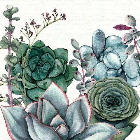 Succulent Garden I Black Modern Wood Framed Art Print by Jill, Susan