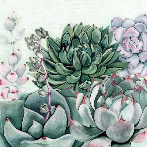Succulent Garden II Black Modern Wood Framed Art Print by Jill, Susan