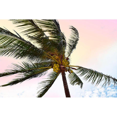 Palm Breeze Gold Ornate Wood Framed Art Print with Double Matting by Carpentieri, Natalie